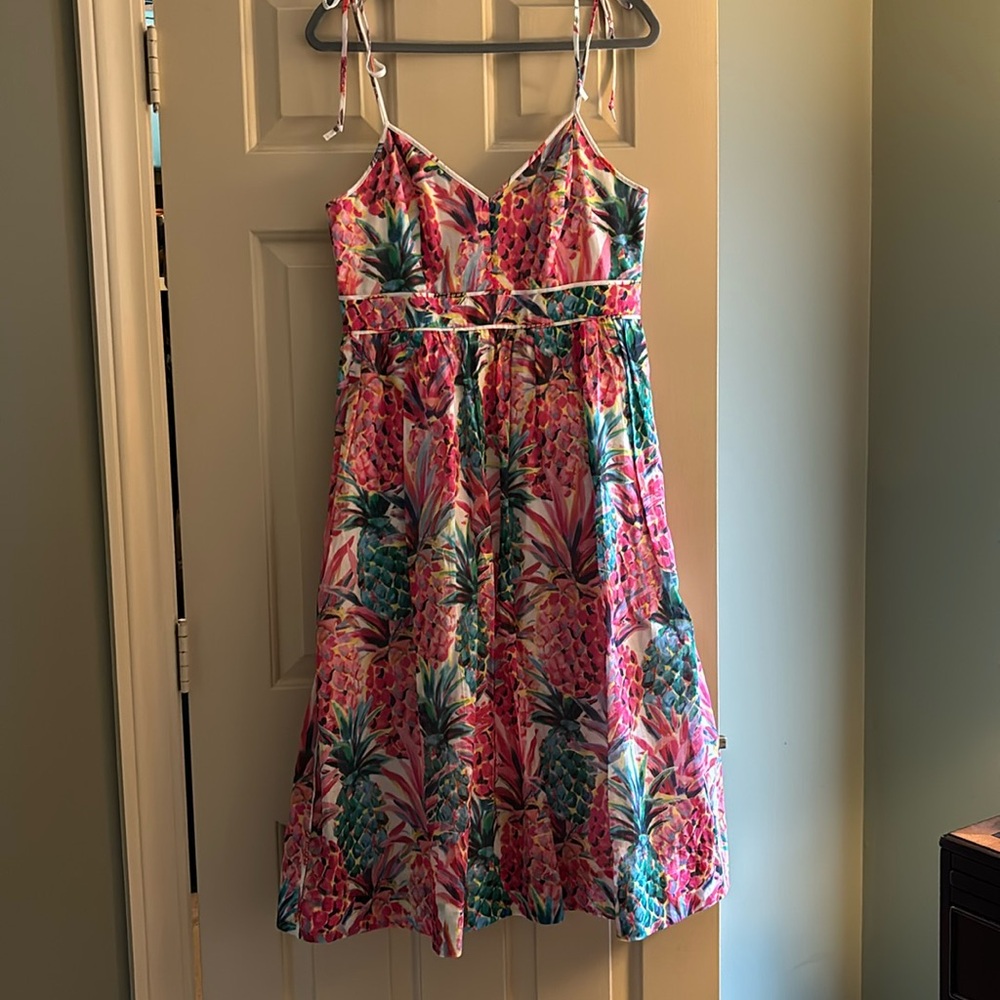 Gorgeous J Crew dress